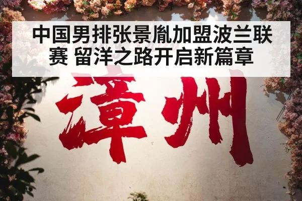 中国男排张景胤加盟波兰联赛 留洋之路开启新篇章