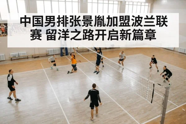 Polish volleyball league action