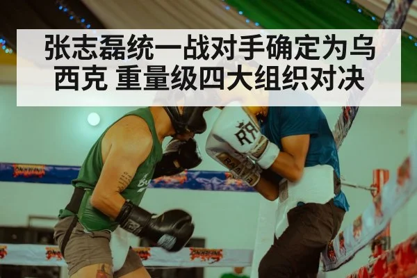 Zhang Zhilei boxing
