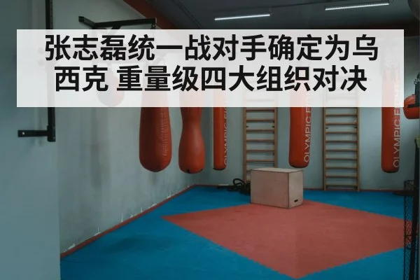 Oleksandr Usyk boxing