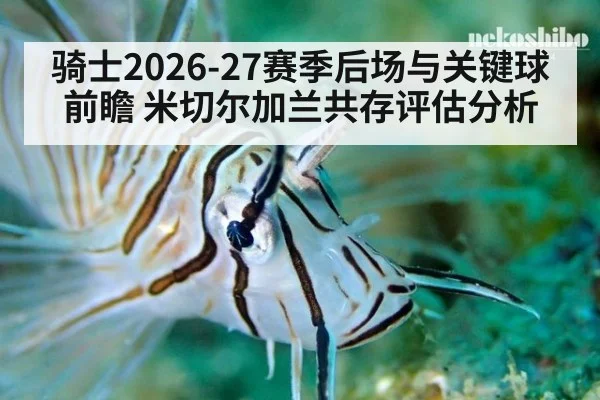 骑士2026-27赛季后场与关键球前瞻 米切尔加兰共存评估分析